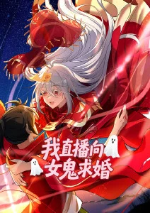 完美的日子电影封面